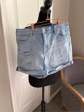 White House Black Market Light Blue Distressed Denim Rolled-Hem Shorts